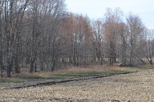 Property photo 95 - REAL ESTATE & PERSONAL PROPERTY AUCTION, 140 Acres offered in 8 Tracts or Combinations in Steuben County